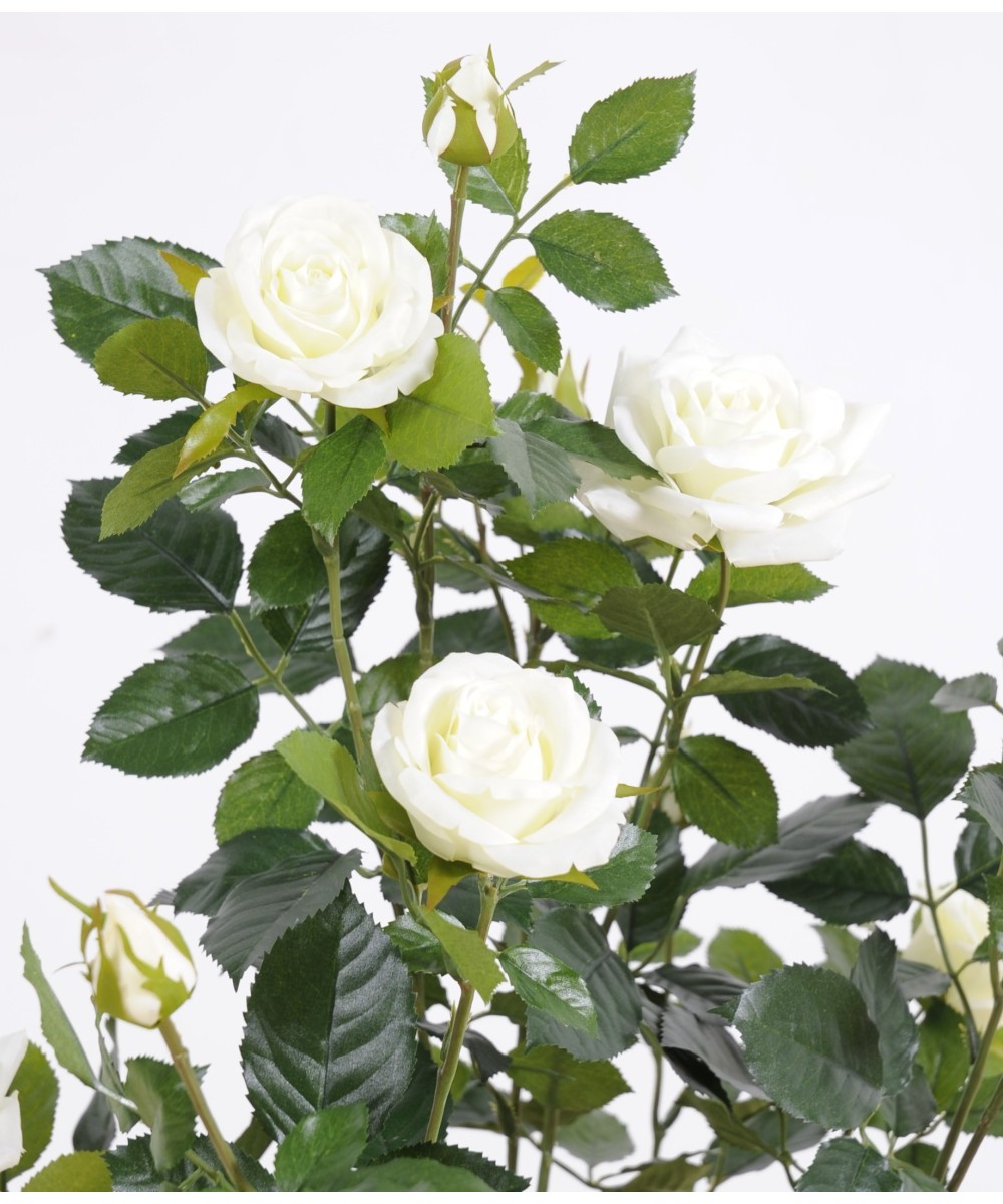 Artificial ROSE