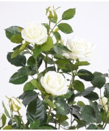 Artificial ROSE