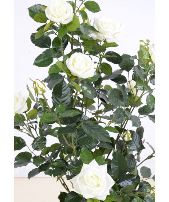Artificial ROSE