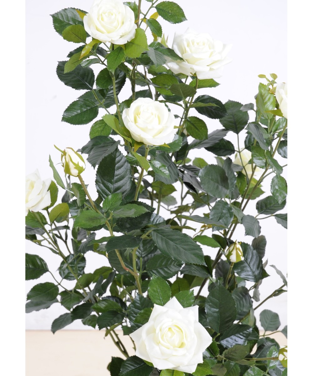 Artificial ROSE