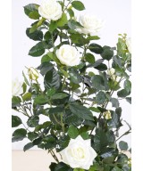 Artificial ROSE