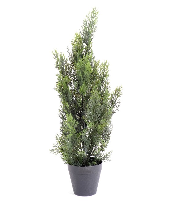 Kunstküpress (juniperus vj) MINI UUS