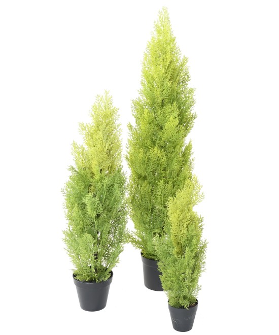 Kunstküpress (juniperus vj) MINI UUS