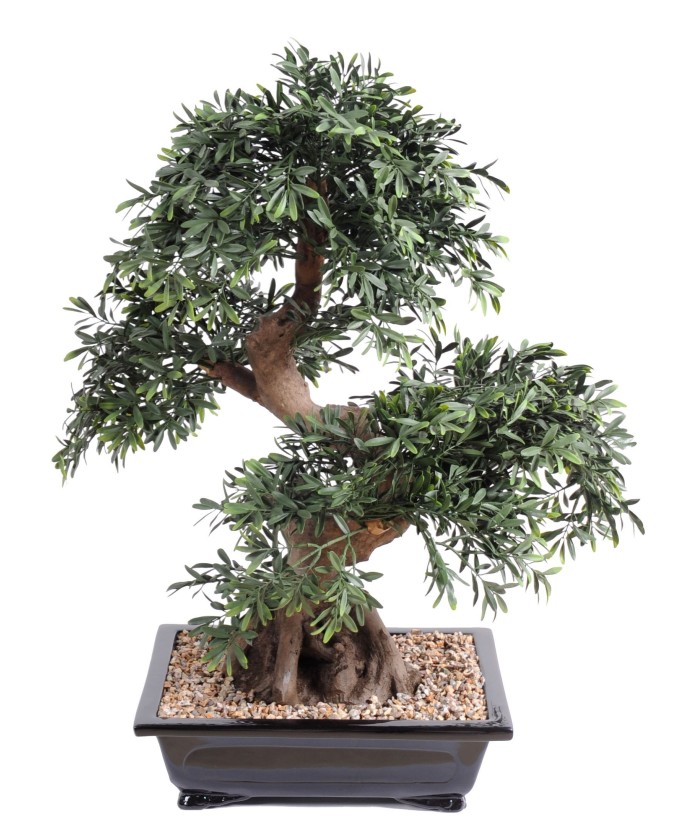 Kunstlik BONSAI MUST PAJU KAUSIS kruus