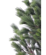 Artificial Austrian pine LARGE