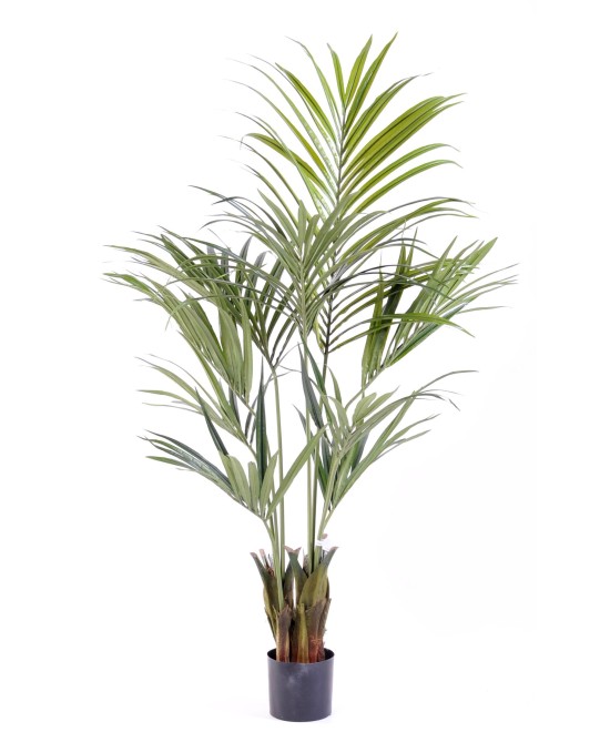Artificial kentia PALM