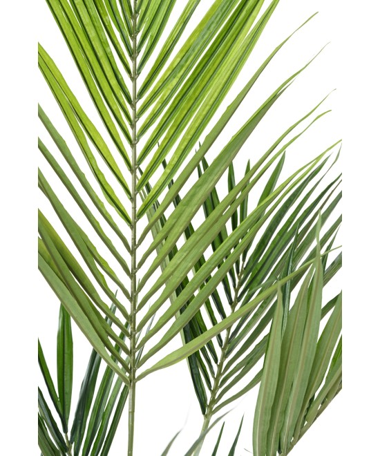 Artificial kentia PALM