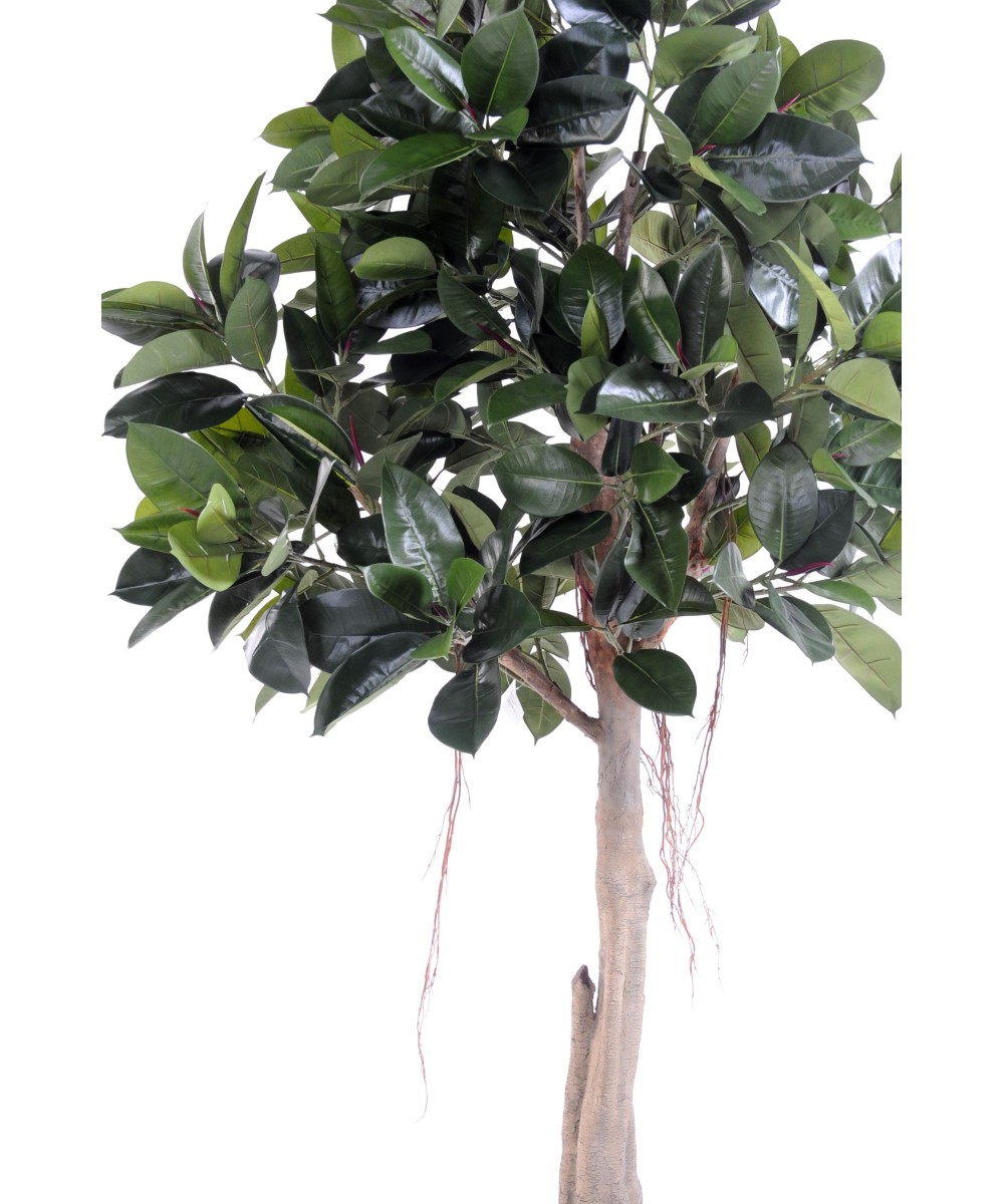 Artificial rubber plant tree