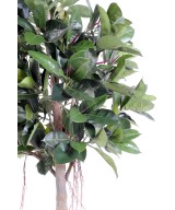 Artificial rubber plant tree