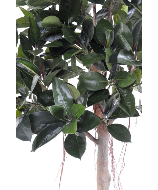 Artificial rubber plant tree