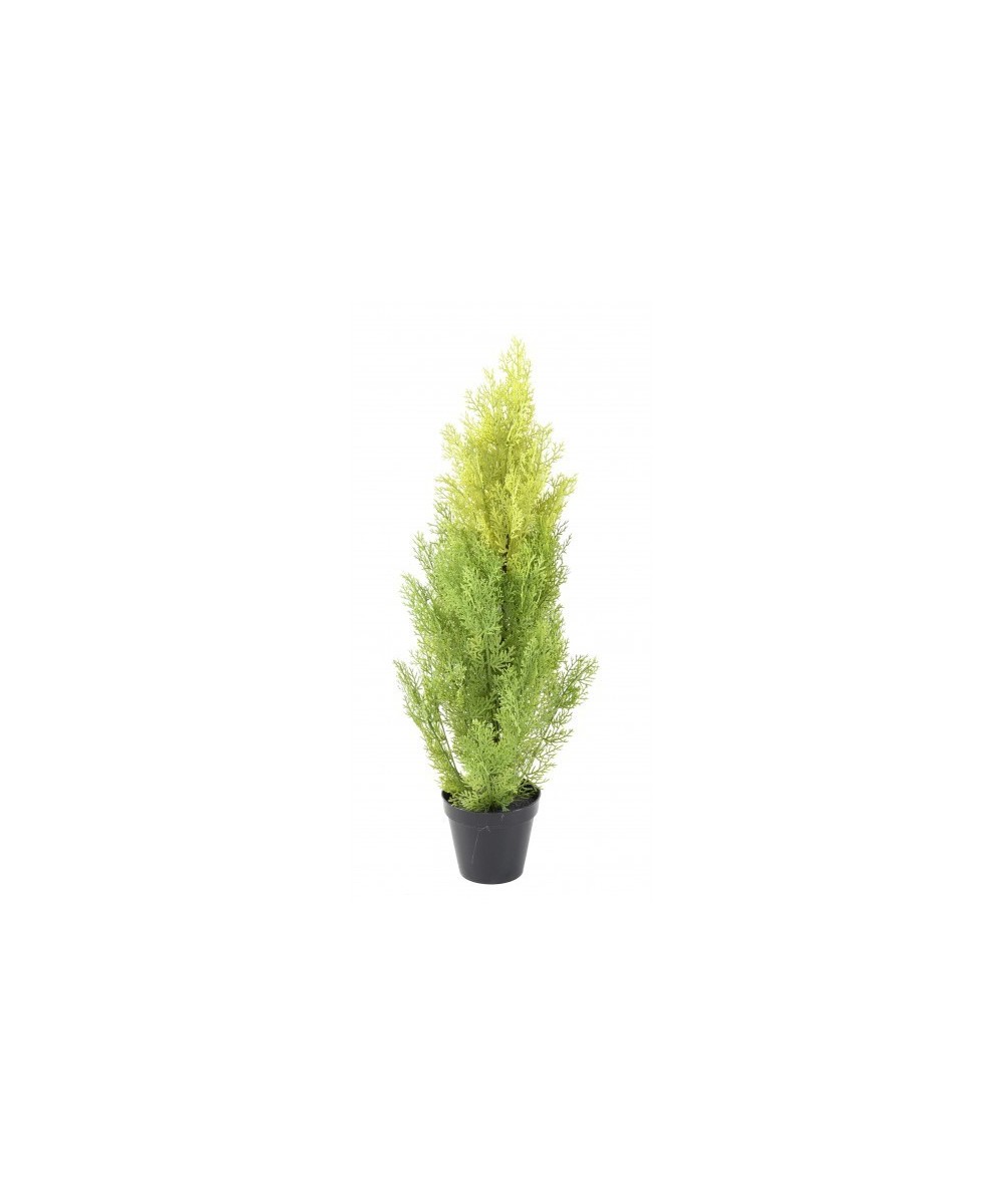 Kunstküpress (juniperus vj) MINI UUS
