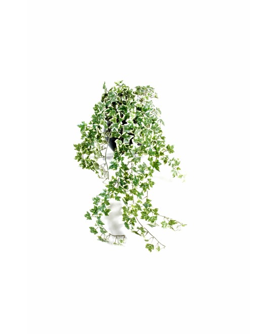 Artificial ivy *504 UV