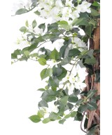 Kunstlik bugenvillea uus ronitaim