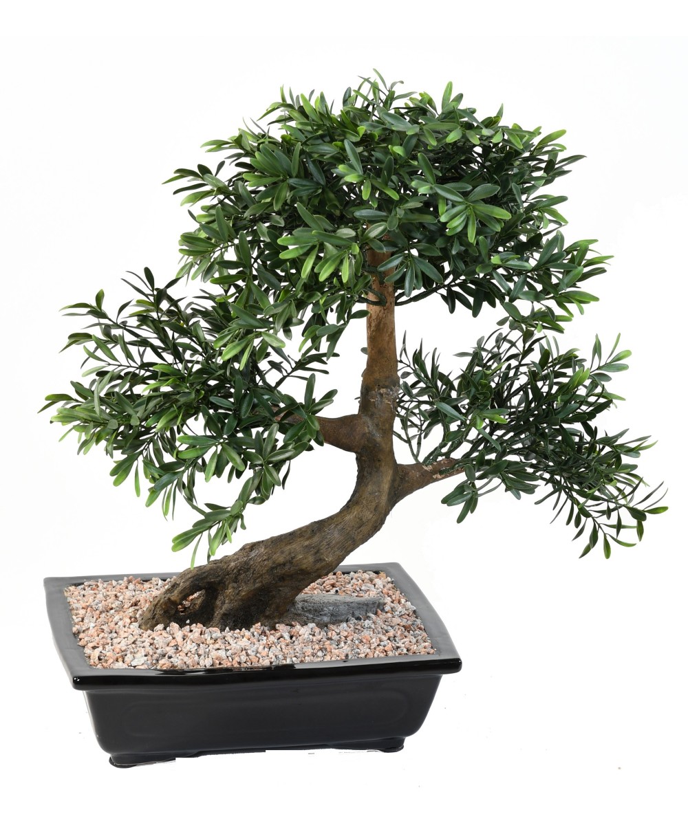 Kunstlik bonsai must paju kausis