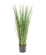 Artificial HONEY GRASS
