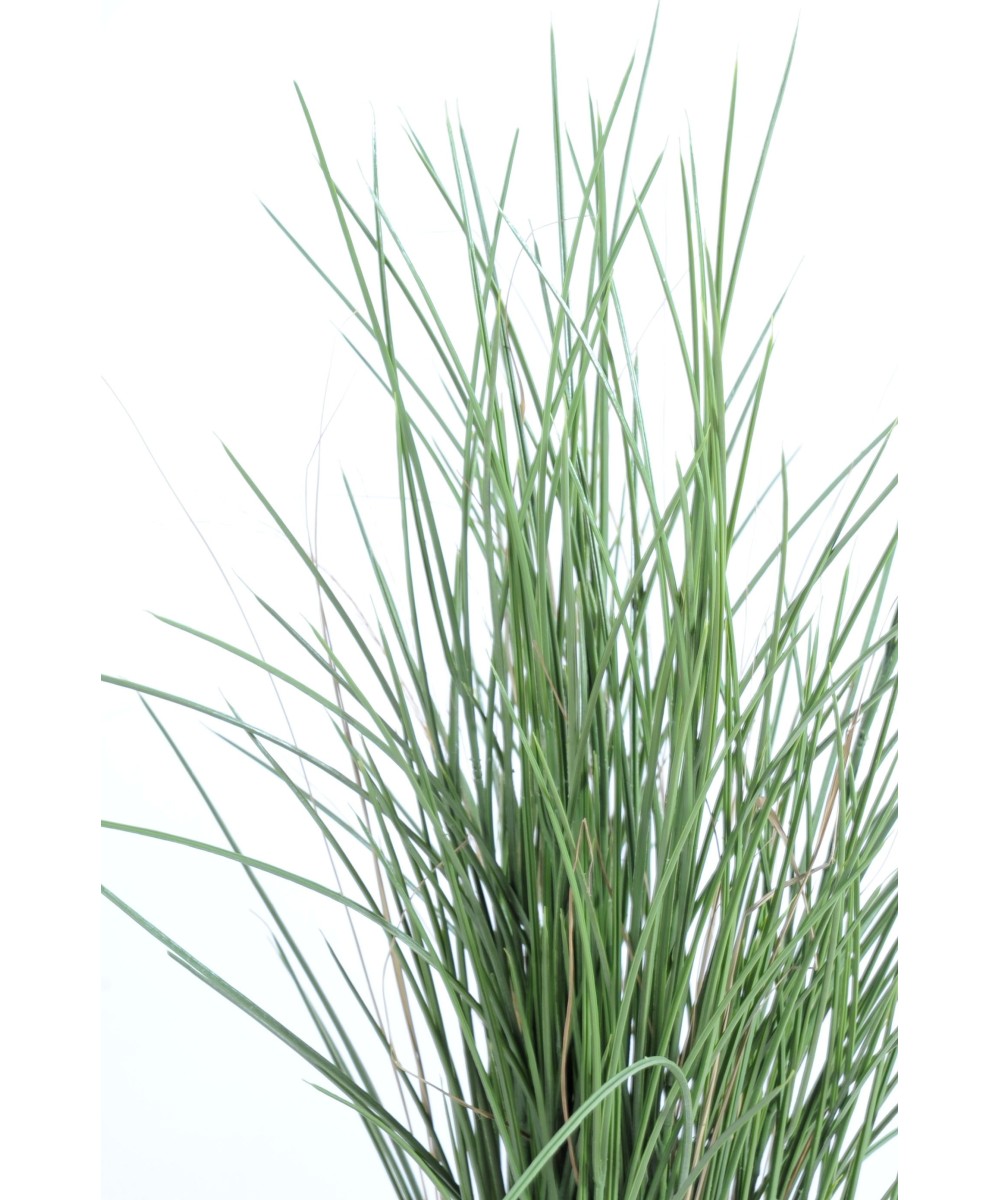Artificial HONEY GRASS