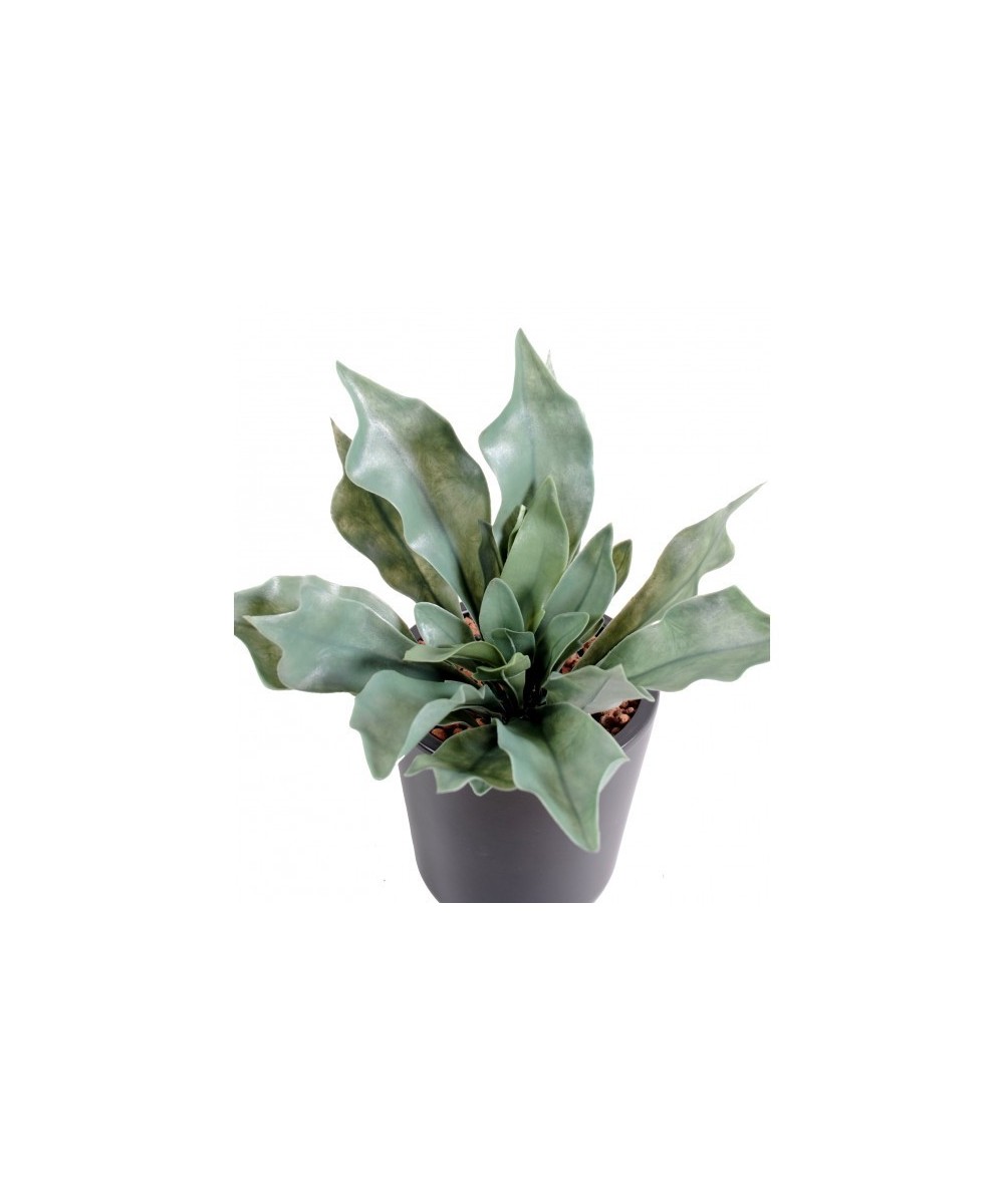 Artificial platycerium PLAST