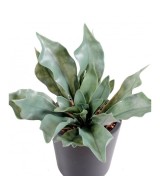 Artificial platycerium PLAST
