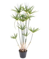 Artificial papyrus ALTERNIFOLIUS