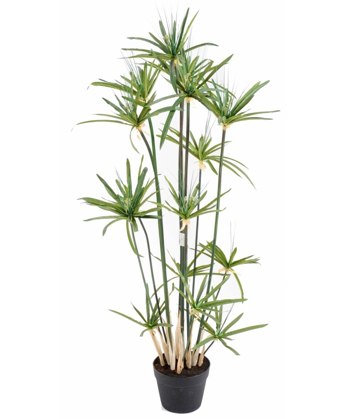 Artificial papyrus ALTERNIFOLIUS