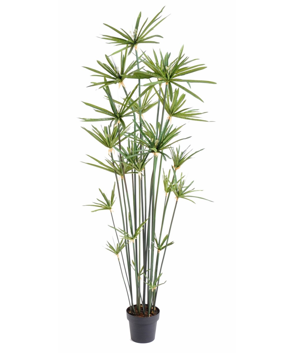 Artificial papyrus ALTERNIFOLIUS