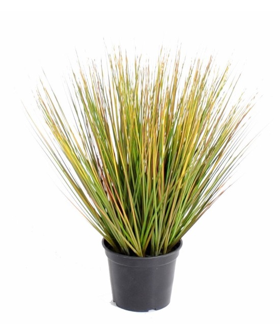 Kunstlik ümmargune sibulahein LL