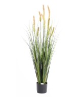Artificial foxtail LL
