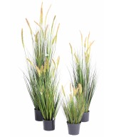 Artificial foxtail LL