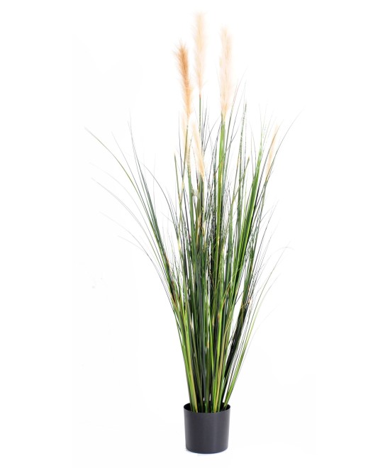 Artificial carex LL