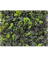 Artificial GREEN wall MIXED IVY BOXWOOD PANEL
