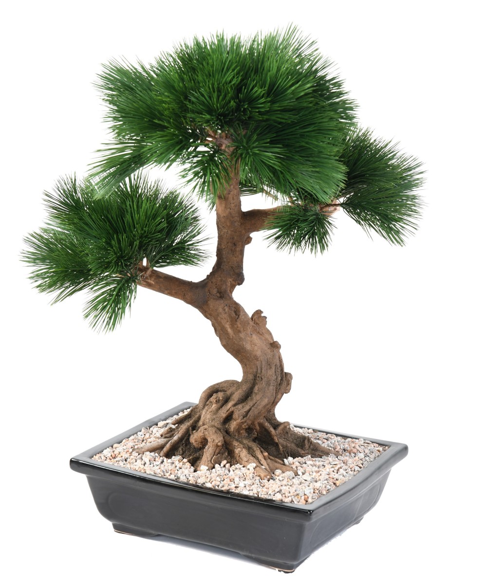 Kunstlik männipuu bonsai kausis