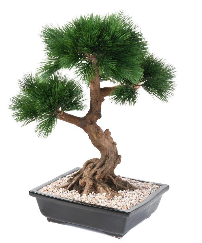 Kunstlik männipuu bonsai kausis