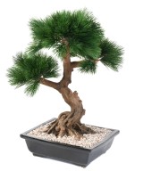 Kunstlik männipuu bonsai kausis