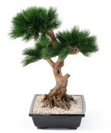 Kunstlik männipuu bonsai kausis