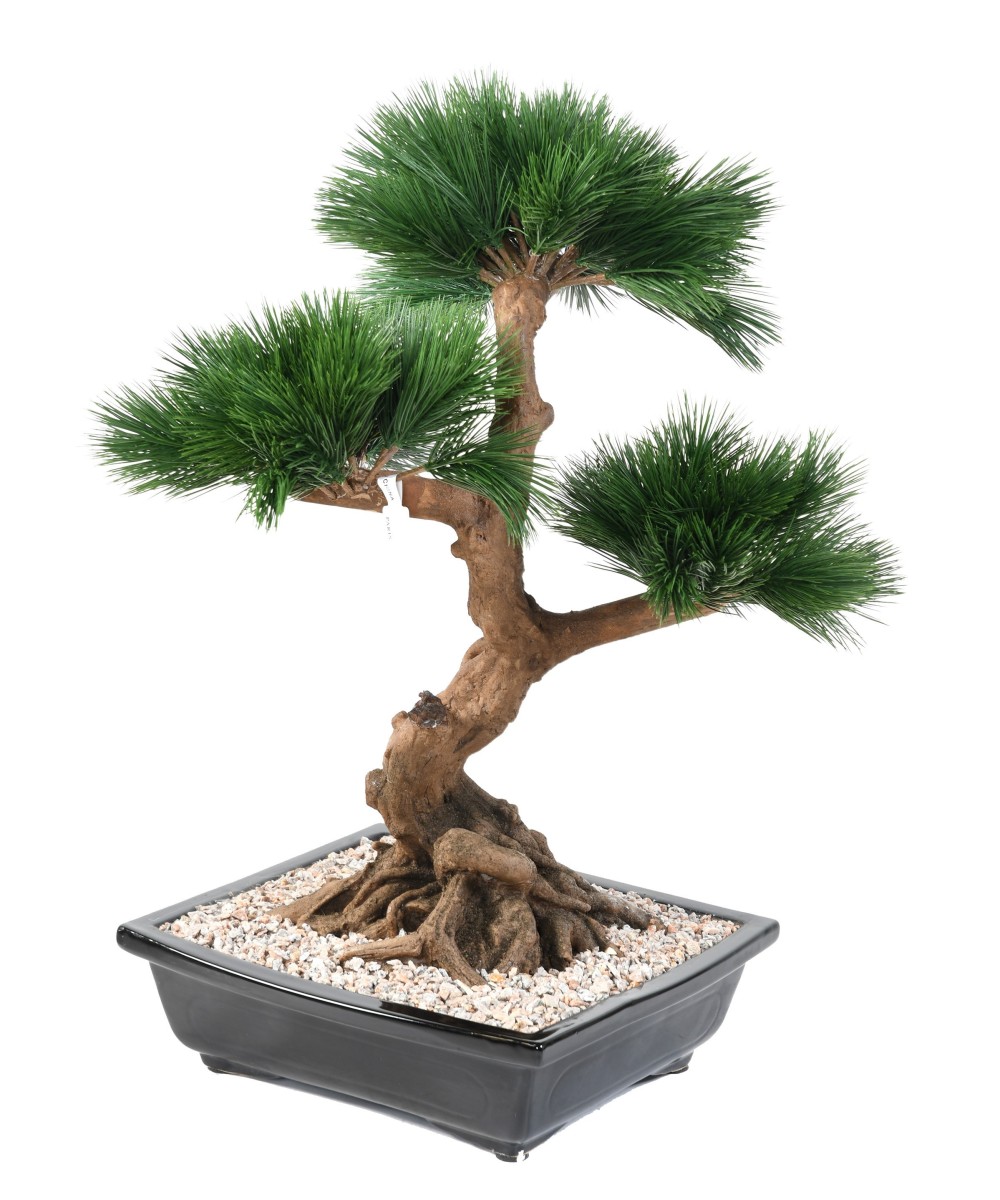 Kunstlik männipuu bonsai kausis