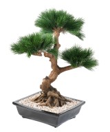 Kunstlik männipuu bonsai kausis