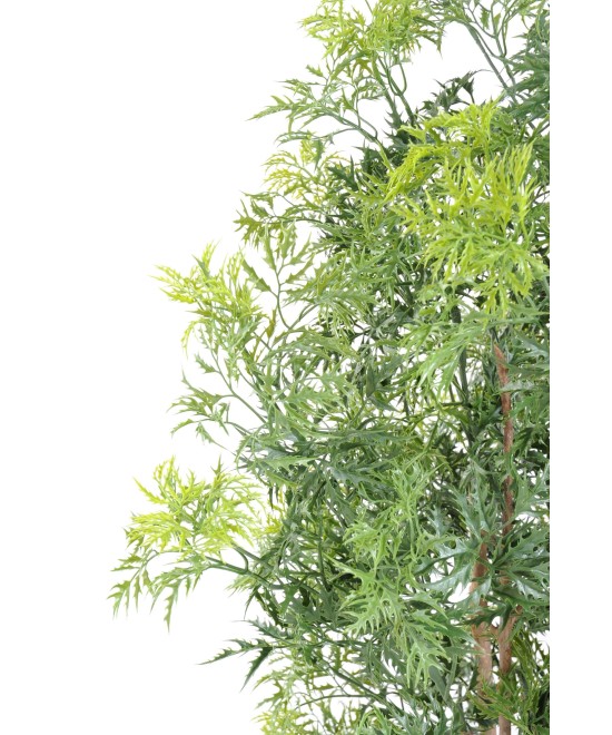 Artificial Aralia ming nitida