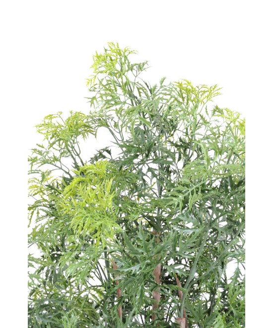Artificial Aralia ming nitida
