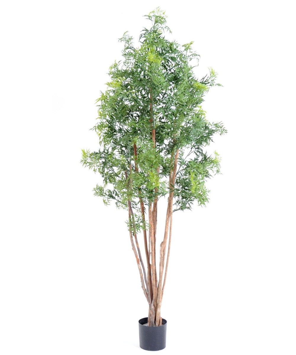 Artificial Aralia ming nitida