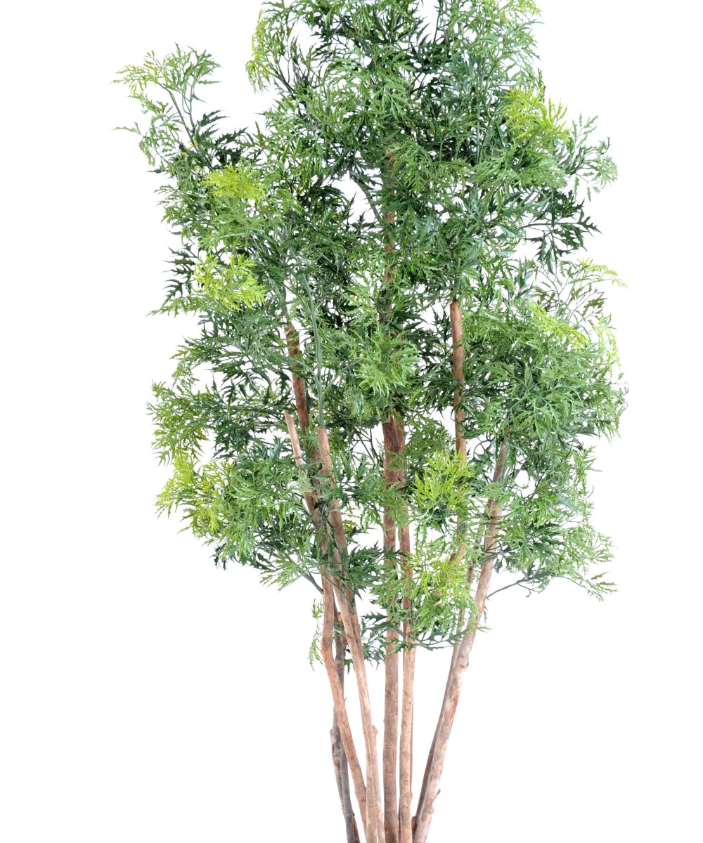 Artificial Aralia ming nitida