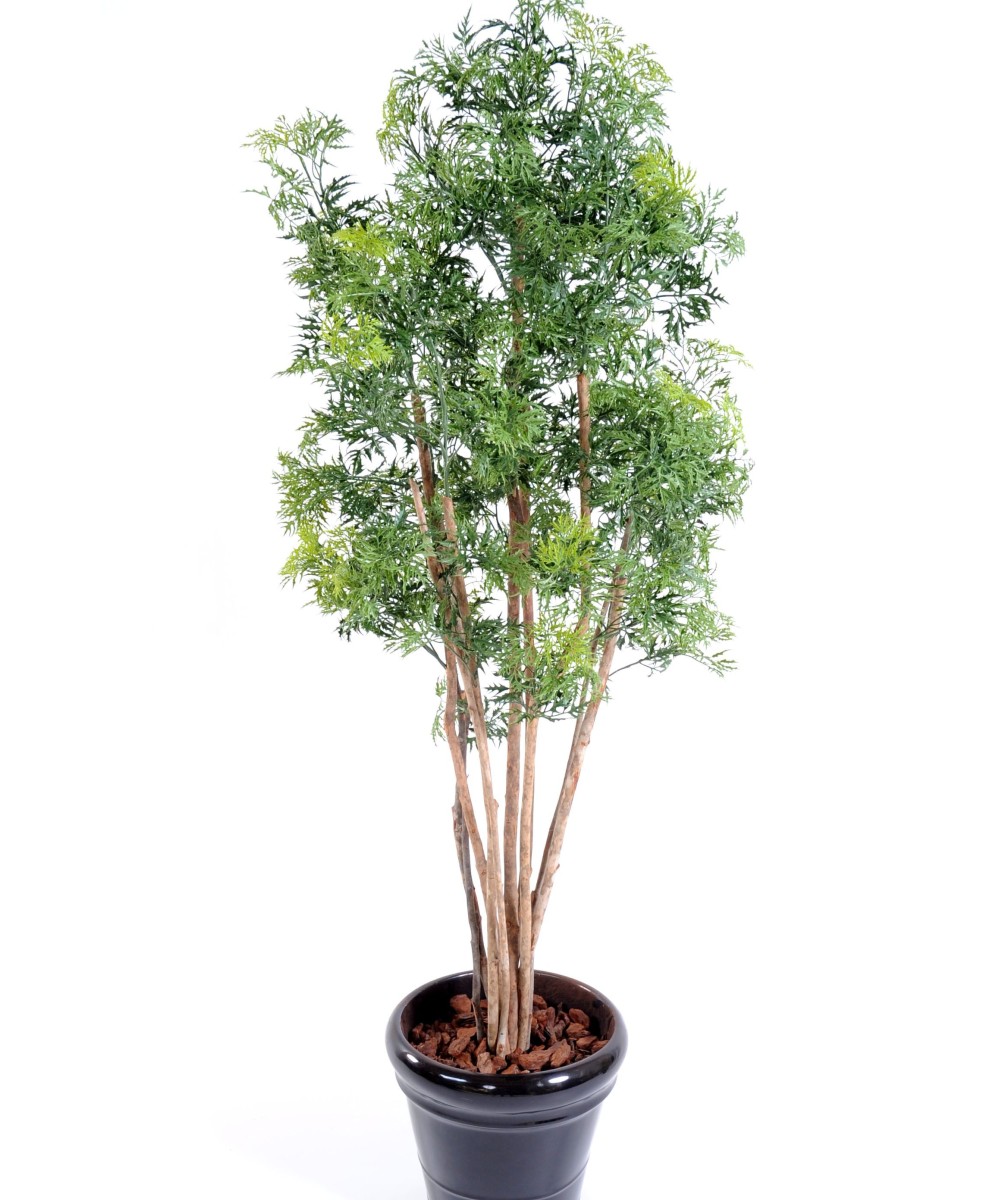 Artificial Aralia ming nitida