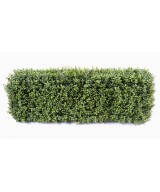 Artificial boxwood HEDGE NEW METAL STRUCTURE