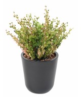 Artificial MINI heather 22