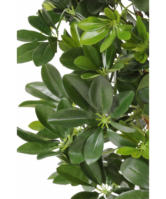 Artificial Schefflera