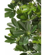 Artificial Schefflera