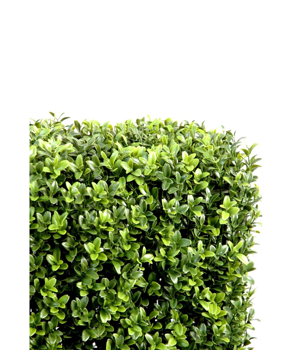 Artificial boxwood HEDGE NEW METAL STRUCTURE