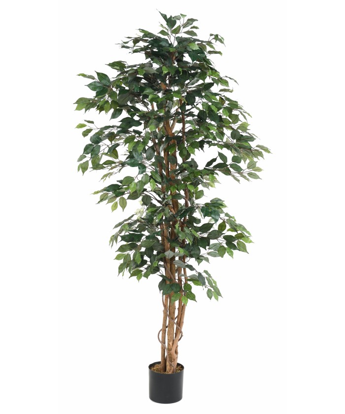 Artificial FICUS MULTI TRUNK ECO