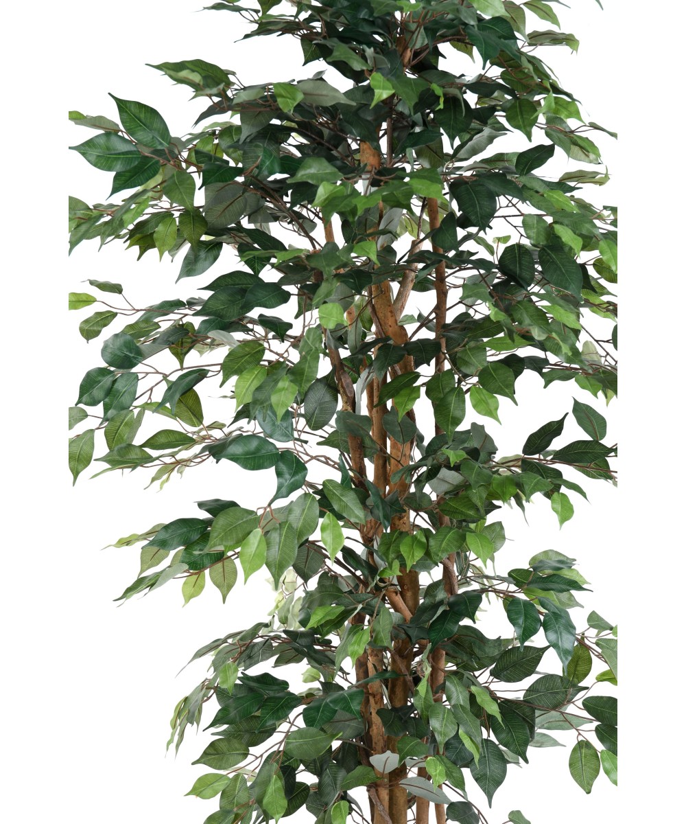 Artificial FICUS MULTI TRUNK ECO