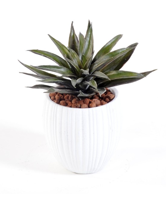 Artificial succulent in capi pot