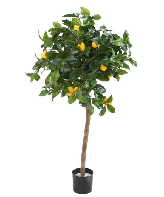 Artificial lemon tree HEAD